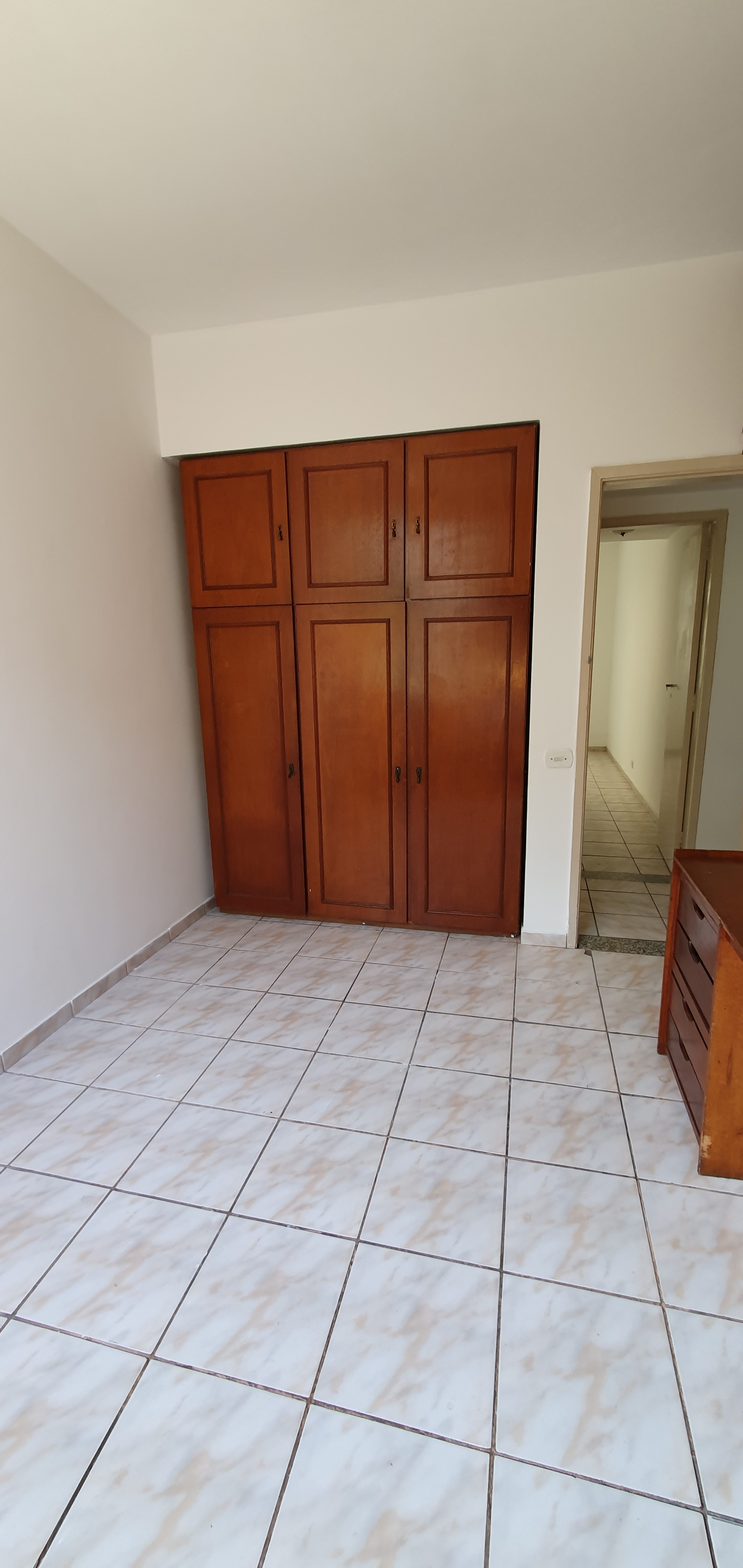 pinheiro machado.jpg